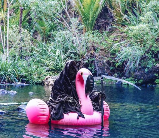 The Swim Reaper Will be Your New Favorite Instagram Account