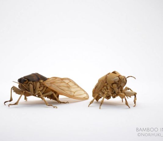 Japanese Artist Creates Incredibly Intricate Life-Size Insects From Bamboo