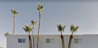 When Life Gives You Lemons: Agoraphobic Woman Found a Way to Travel the World