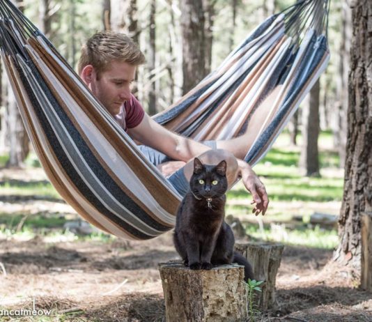 This Guy Quit His Job And Has Been Traveling With His Cat For The Past 2.5 Years