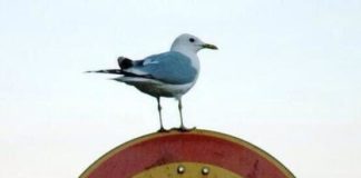 People Who Refused To Play By The Rules