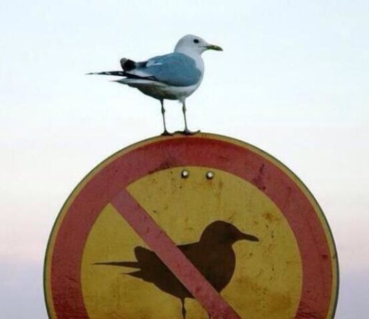 People Who Refused To Play By The Rules