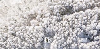 Instagram User Captures the Beauty of Japan in Winter and Leaves Us Speechless
