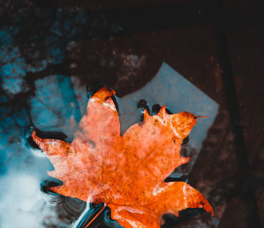 Guy Makes Beautiful Photos Without Professional Gear, Using Only an iPhone 5s!