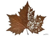 Former Engineer Creates Mesmerizing Leaf Art That You Want To See