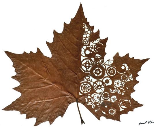 Former Engineer Creates Mesmerizing Leaf Art That You Want To See