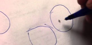 Bugs Can’t Escape From Pen Line Prison!