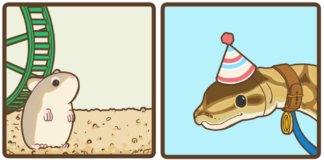 If You Like Dark Humor Then You’ll Love These Hilarious Comics