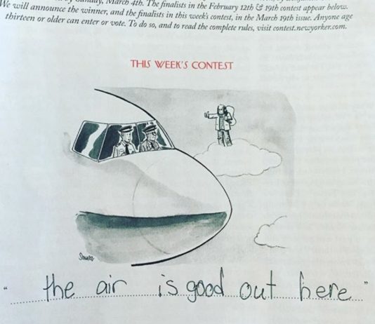 9-Year-Old Girl Comes up With Hilarious Cartoon Captions