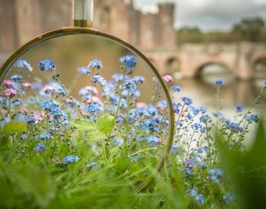 Photographer Uses Magnifying Glass to Show How Beautiful Spring Is