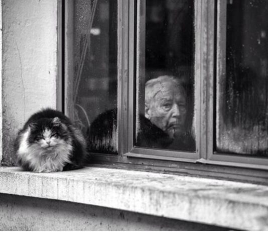 “Of Cats and Men” is a Photo Series You Need to See