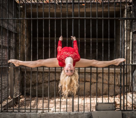 Ana Velasco Gonzalez The Contorsionist