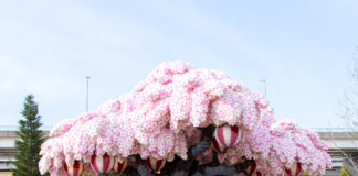 Largest LEGO Cherry Tree in the World Blossoms in Japan