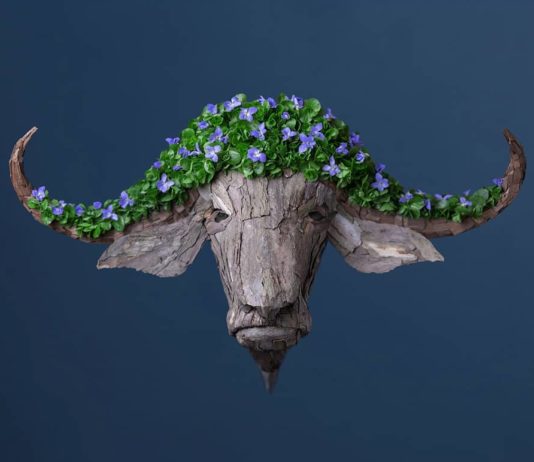 Insect-Shaped Arrangements Inspired by the American Southwest