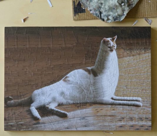 Inspired by Dadaism, Artist Creates Collage Portraits of Cats and Dogs