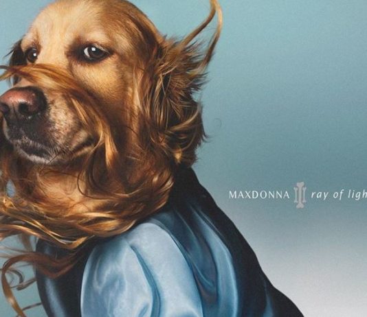 Check Out this Dog Recreating Madonna’s Iconic Pics
