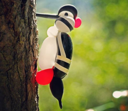Artist Makes These Awesome Balloon Birds