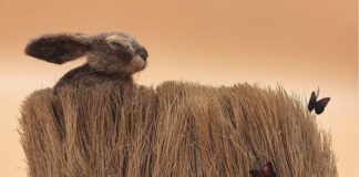 Guy Takes Old Brushes and Brings Them Back to Life