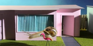 Snails Become Perfect Addition to These Impressive Miniature Sets