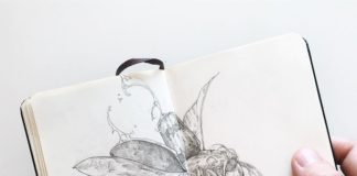 Illustrator Shares His Impressive Sketches of Birds and Beasts