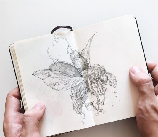 Illustrator Shares His Impressive Sketches of Birds and Beasts