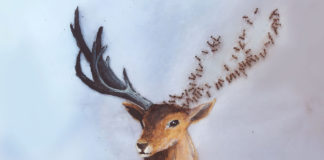 Artist Paints Animals and Adds Details With Help From Ants