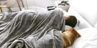 Polite Sharpei Wants to Be Tucked in