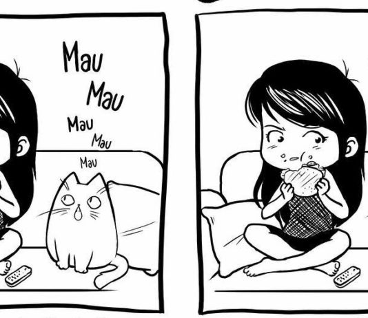 German Artist Illustrates Her Hilarious Crazy Cats