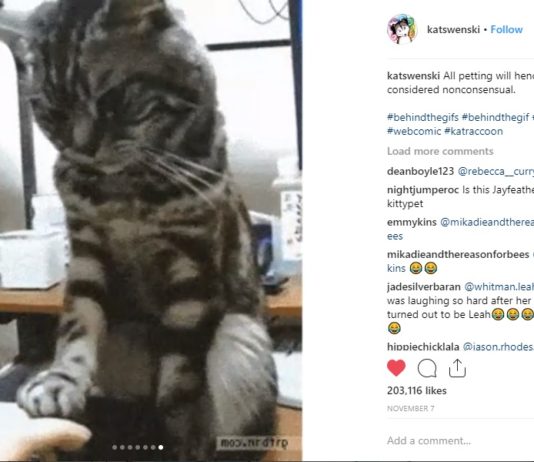 Could These Be the Backstories of Some Popular GIFs?