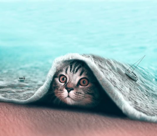 French Artist Uses Photoshop to Create Surreal Situations Involving Animals