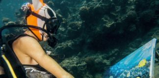 This Scuba Diver Creates Unbelievable Underwater Paintings