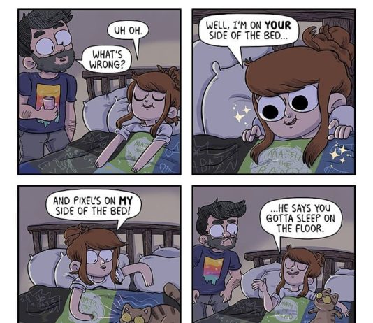 Artist Documents Her Life With Fiance And Four Cats in Comics