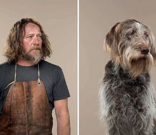 These Dogs Look So Much Like Their Owners