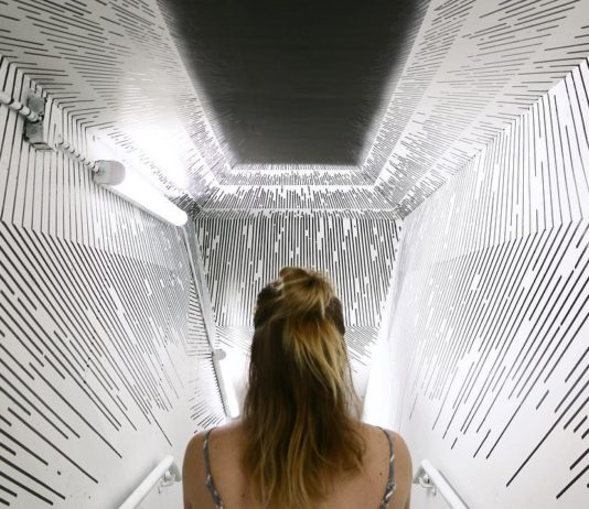 Artist Uses Simple Lines to Create Optical Illusion