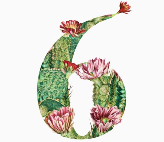 Illustrator Draws Gorgeous Alphabet Letters and Numbers