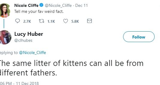 Mind-Blowing Answers to Twitter Thread “Fav Weird Fact”