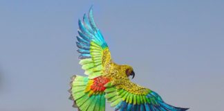 Two Artists Create Miniature Paper Cut Birds Everyday For One Year