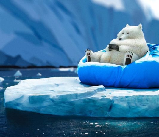 Artist Illustrates Animals Doing Humans’ Modern Hobbies