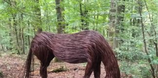 Willow Artist Creates Stunning Outdoor Sculptures