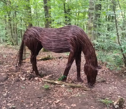 Willow Artist Creates Stunning Outdoor Sculptures