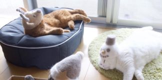 These Cats Wear Fashionable Hats Made Entirely From Their Own Fur