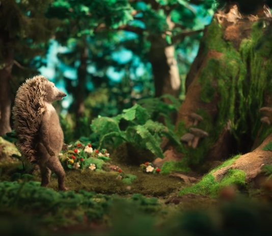 Watch This Cute Needle-Felted Stop Motion Film About a Hedgehog and His Home
