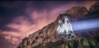 Artist Uses Projector to Showcase Endangered Species