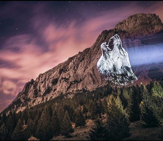 Artist Uses Projector to Showcase Endangered Species