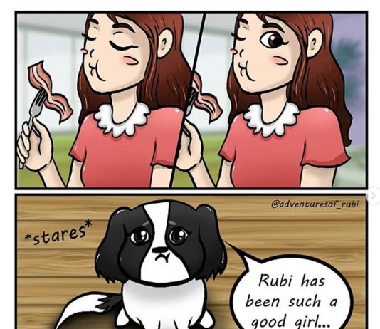 Young Artist Illustrates Her Life With a 4-Years-Old Shih-Tzu