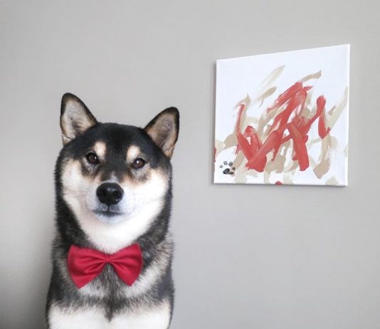 Talented Dog Creates Extraordinary Paintings