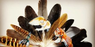 Artist Paints Beautifuly on Bird Feathers
