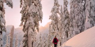 Meghan Young Earns a $100k Salary for Living Her Passion: Hiking Mountains