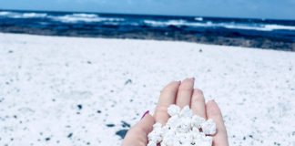 Check Out Amazing Beach That Has Popcorn-like Sand