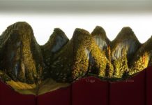 Artist Carves Mountains and Landscapes in Books and it’s Incredible
